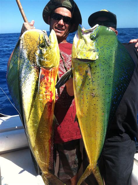 where are affordable overnight fishing trips near san diego
